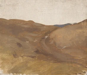 Landscape with White Sky